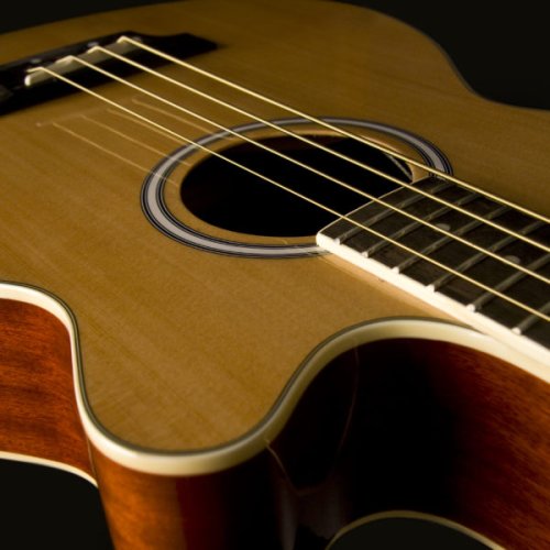 Washburn AB5 Cutaway Acoustic Electric Bass Guitar. Natural