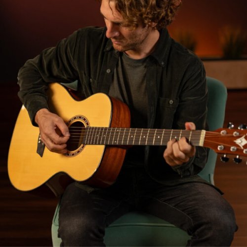 Washburn F5 Apprentice Series Folk Acoustic Guitar