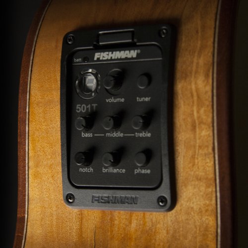 Washburn G66SCE Comfort Deluxe 66 Auditorium Cutaway Acoustic Electic Guitar. Spalted Maple