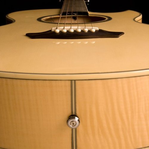 Washburn EA20 Festival Series Cutaway Acoustic Electric Guitar. Natural