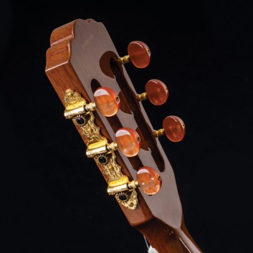 Washburn EACT42S Festival Series Nylon String Cutaway Classical Acoustic Electric Guitar. Natural