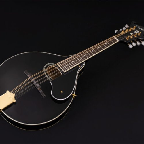 Washburn M1SD Americana Series A-Style Mandolin. Black