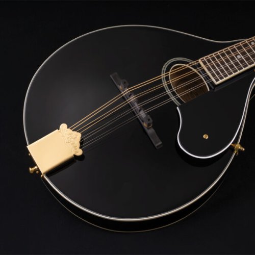 Washburn M1SD Americana Series A-Style Mandolin. Black