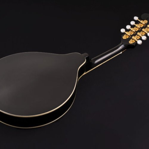 Washburn M1SD Americana Series A-Style Mandolin. Black