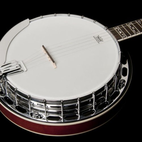 Washburn B16 Americana Series (5 String Banjo). Tobacco Sunburst
