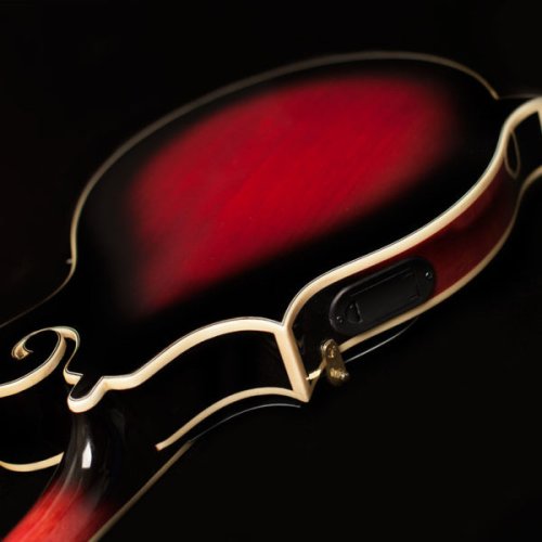 Washburn M3SWE Americana Series F-Style Mandolin with Electronics. Trans Wine Red