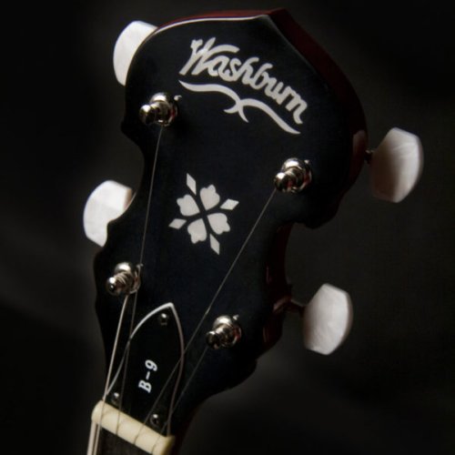 Washburn B9 Americana Series (5 String) Banjo. Sunburst