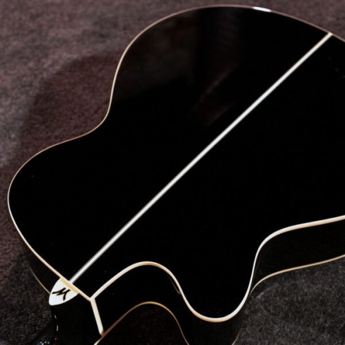 Washburn EA55G-A Festival Series Cutaway Acoustic/Electric Guitar. Koa Burst