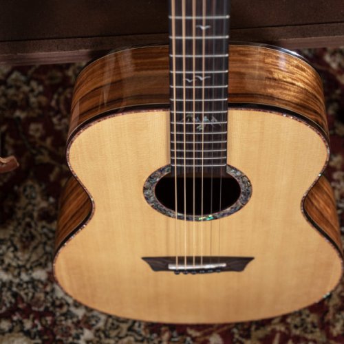 Washburn Elegante S24S Bella Tono Studio Acoustic Guitar. Gloss Natural