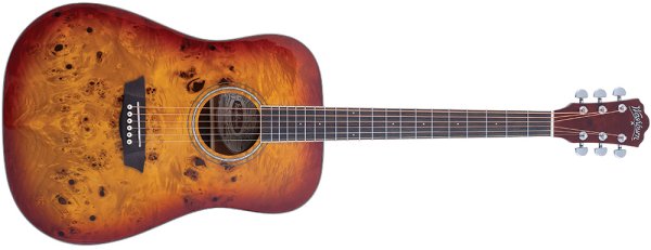 Acoustic Guitars