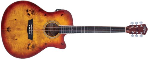 Washburn DFBACEA Deep Forest Burl Grand Auditorium Acoustic Electric Guitar. Amber Fade