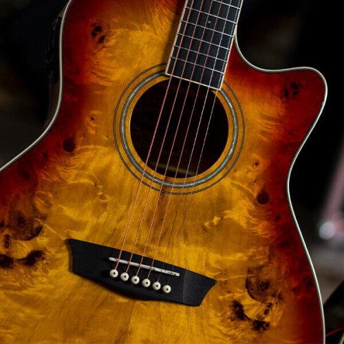 Washburn DFBACEA Deep Forest Burl Grand Auditorium Acoustic Electric Guitar. Amber Fade