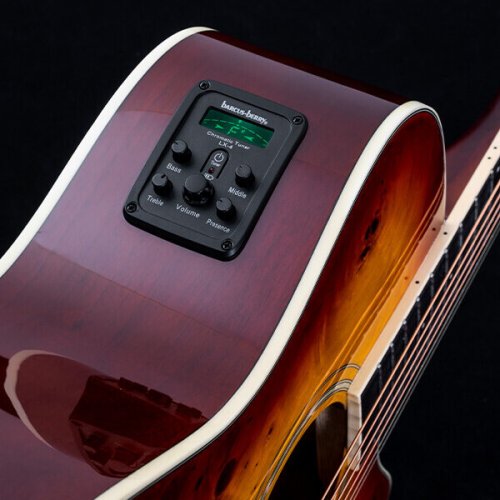 Washburn DFBACEA Deep Forest Burl Grand Auditorium Acoustic Electric Guitar. Amber Fade