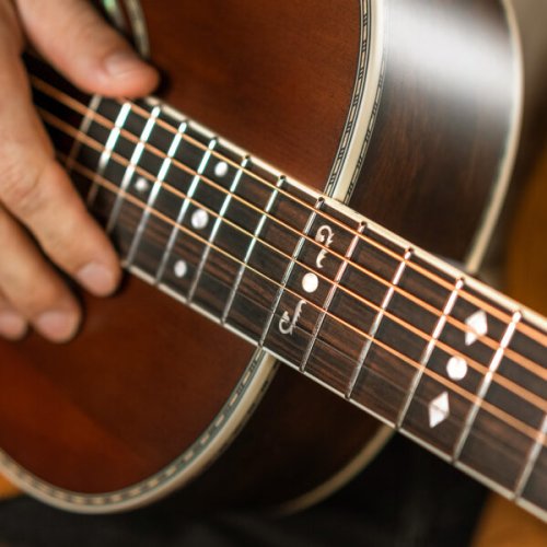 Washburn R310K Victorian Series Parlor Acoustic Guitar