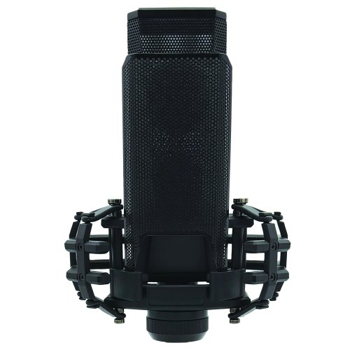 CAD E150 Large Diaphragm Condenser Microphone