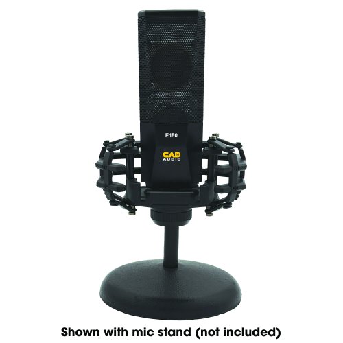 CAD E150 Large Diaphragm Condenser Microphone