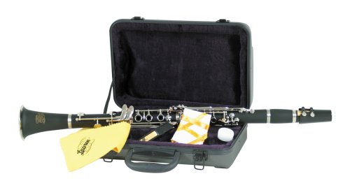 Lauren LCL100 Clarinet